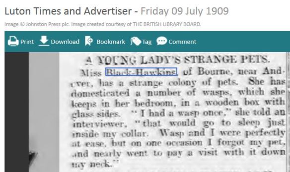 1909 Miss Black-Hawkins' pet wasps